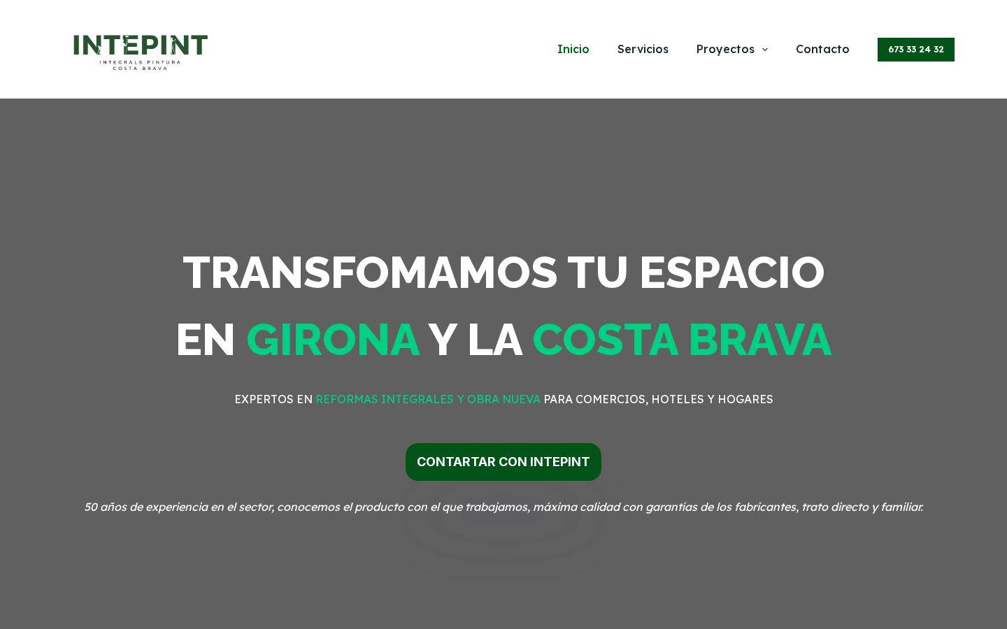 Captura de la web Intepint